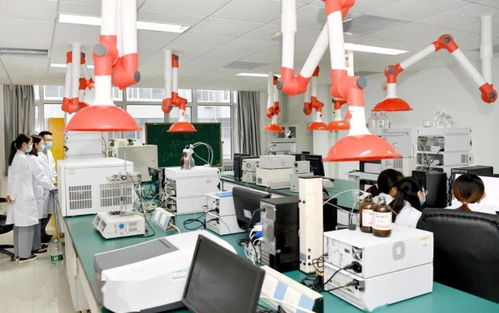 潍坊医学院 医教研协同，服务健康山东，助推高质量发展