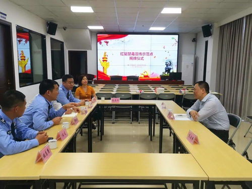 为民办实事 同安区司法局教育整顿出实效，成果转化惠民生